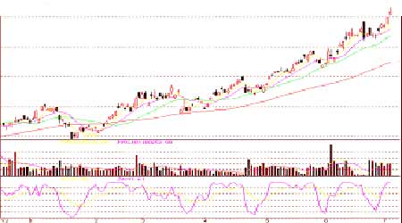 08���°����̓rչ�����̓r���c�칫ԇ�ȸ�(5)