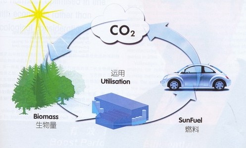 ����ɭ���ڜy(c��)ԇ��������ȼ��