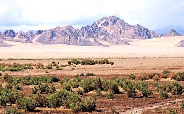 ���_ľ���ʯ��