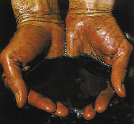 ��ʯ���A(y��)Ӌ(j��)ʯ�ͱ��^���M(f��i)��5%