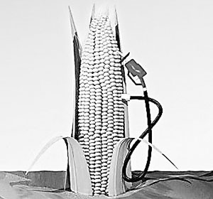 ����ȼ�ό����ٰl(f��)չ