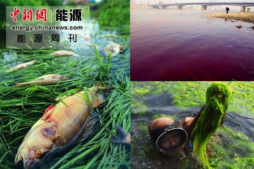 ��ʯ����