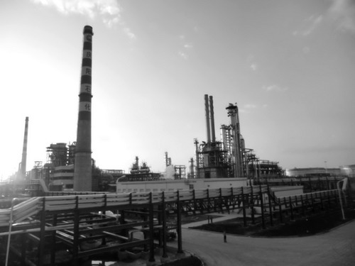 �����_�l����һ�w����퓎r��lչ