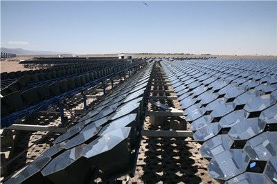 ������aС����Ⱦ