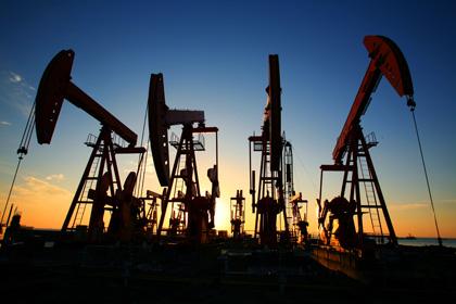 ���g�Y��